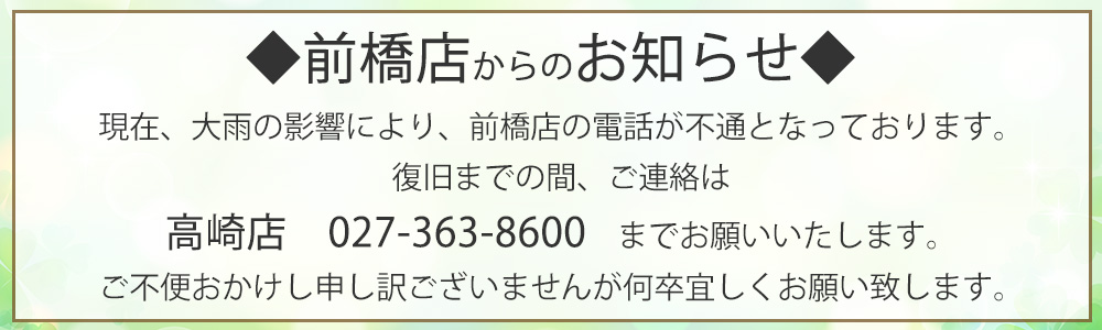 三洋繊維　振袖　レンタル　新柄振袖発表会　特別価格セール